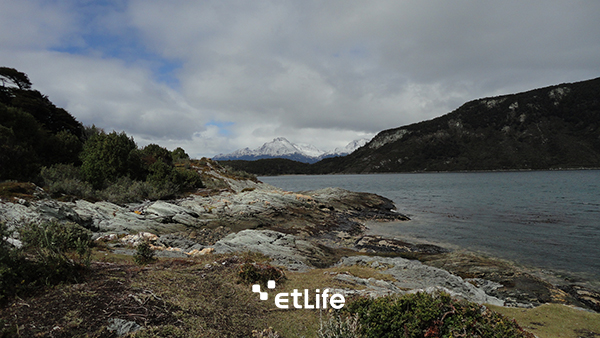 사진 : 허여사 / Tierra del Fuego National Park 전경 