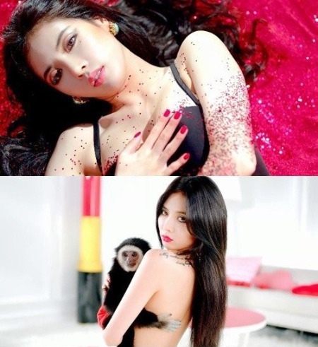 현아 빨개요 티저 속옷 섹시미 발산