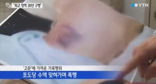 윤일병 사건 청와대 진상규명