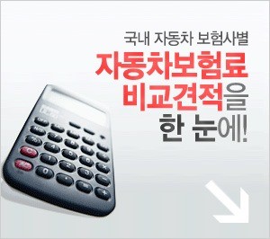 자동차보험료 절약해법 노하우, '비교견적 사이트에서 찾아라'