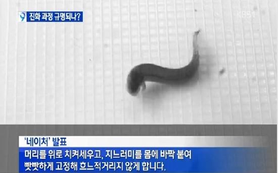 걷는 물고기