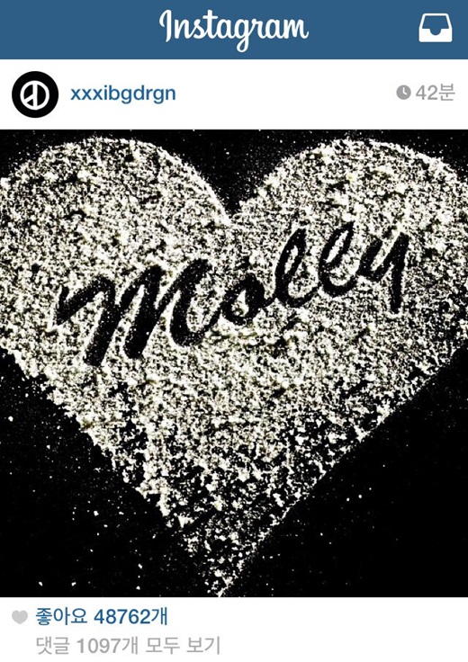 인스타그램 지드래곤 몰리  출처:/지드래곤 인스타그램/