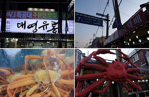 새로운 트렌드 '맛집 여행' 강릉 주문진 맛집 대영유통 인기 비결은?