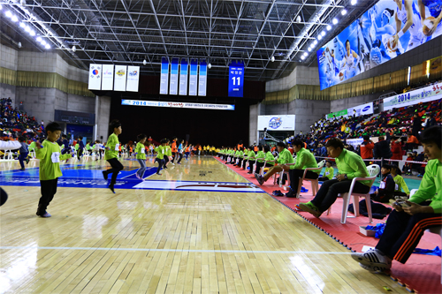 저탄소친환경 2014대한민국줄넘기한마당축제