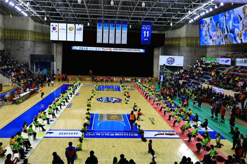 저탄소친환경 2014대한민국줄넘기한마당축제