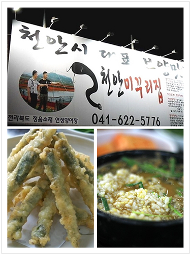 추어(鯫魚)의 계절 천안맛집 여행 서둘러 떠나보자~!