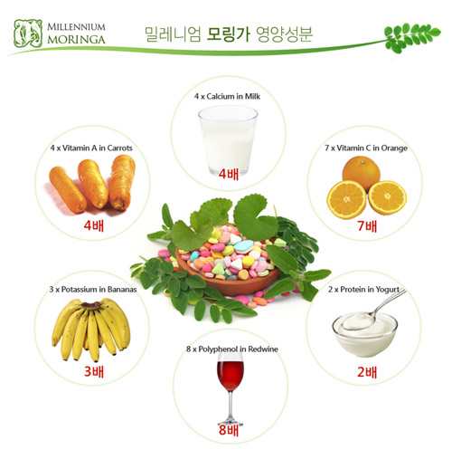 ▲ 100% 천연 ‘밀레니엄 모링가’. 고형차, 침출차 2종이다. <사진출처: 천년넷>