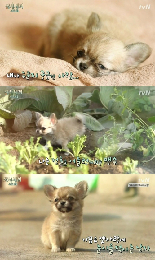 출처: tvn '삼시세끼 어촌편' 캡처