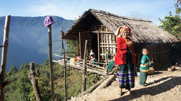 Photo Image