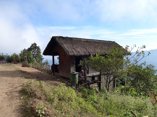 Photo Image
