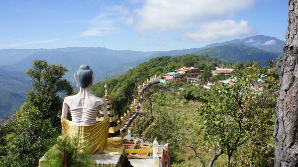 Photo Image