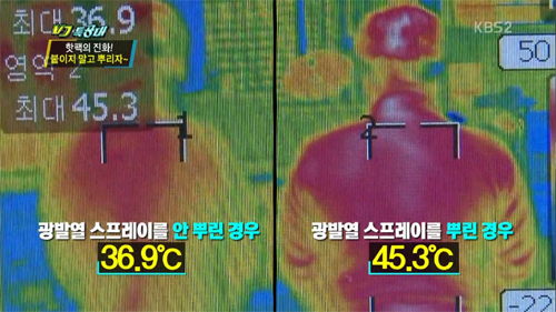 <사진출처: KBS VJ특공대>