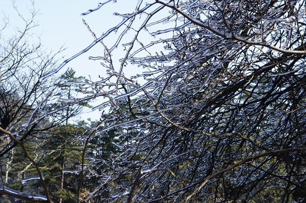 운곡풍경구 등산로 겨울 모습