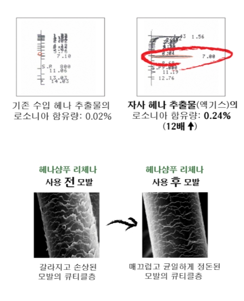 리체나, 건강한 두피 가꾸는 간편한 염모제 선보여