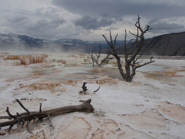 Mammoth Hot Spring Terrace