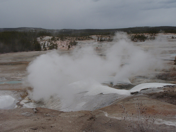 Norris Geyser Basin