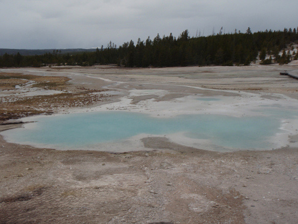 Norris Geyser Basin