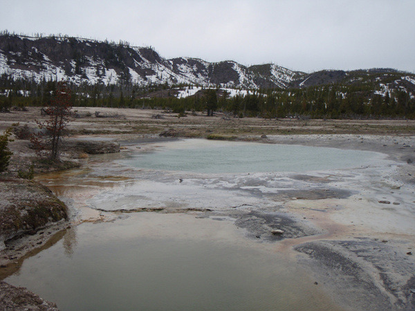 Biscuit Basin