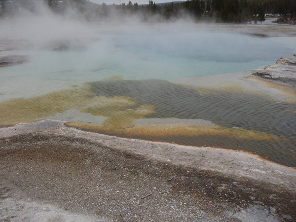 Sapphire pool