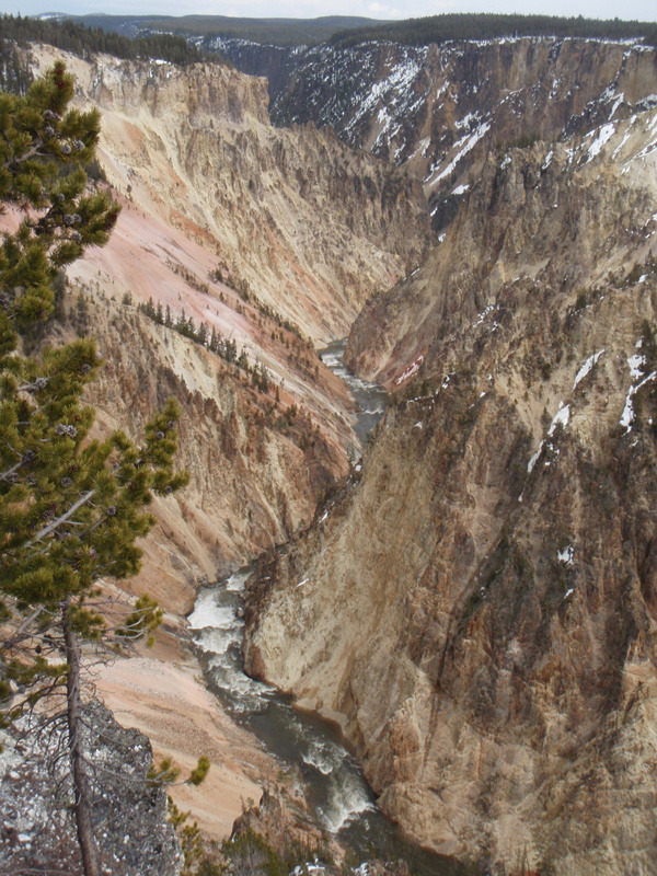 옐로스톤의 Grand Canyon