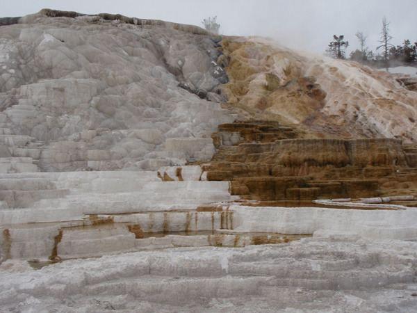 Mammoth Hot Spring Terrace