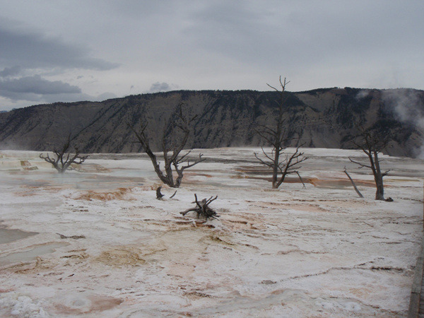 Mammoth Hot Spring Terrace