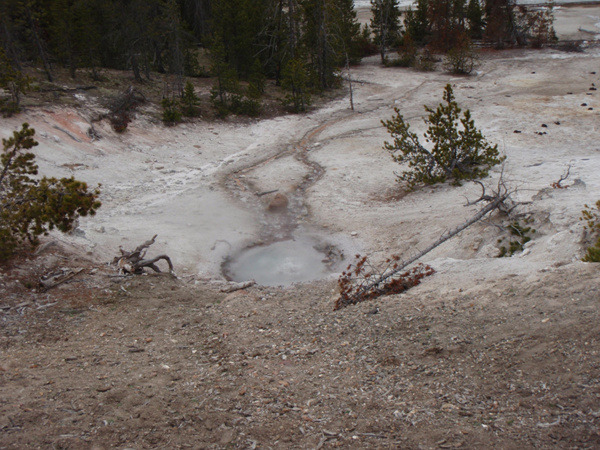 West Thumb Geyser Basin