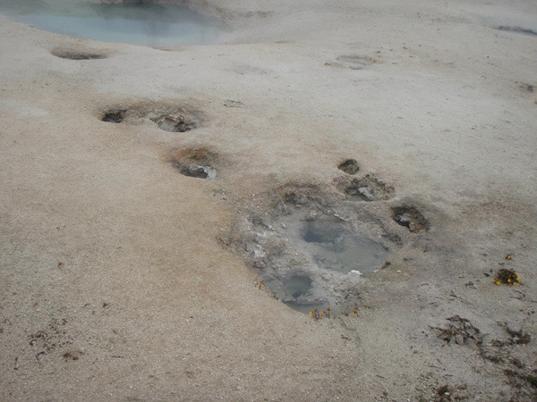 West Thumb Geyser Basin