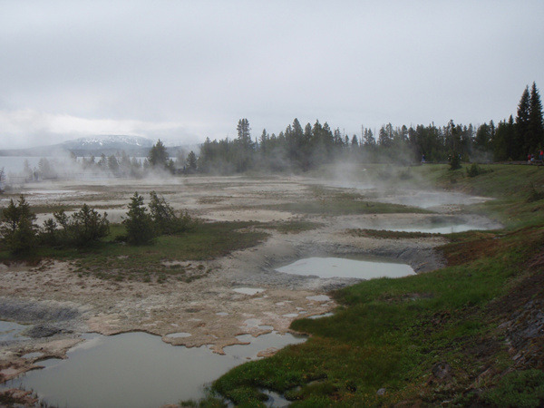 West Thumb Geyser Basin