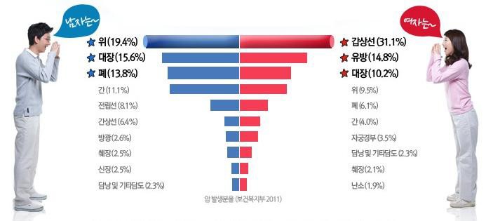 비갱신형 암보험, 암 대비책으로 적격인 이유는?