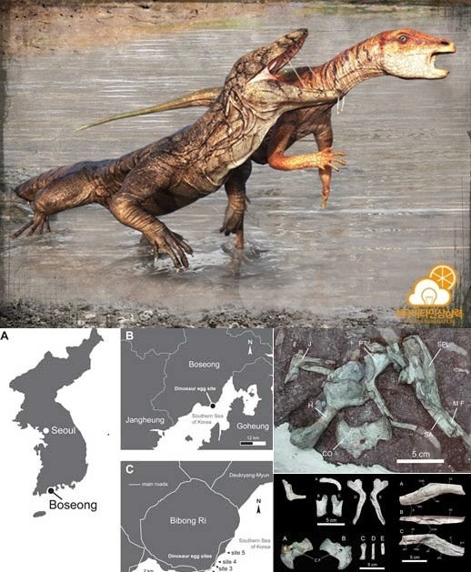 한반도 거대 도마뱀 화석 발견
 출처:/학술지 ‘백악기 연구’(Cretaceous Research) 제공