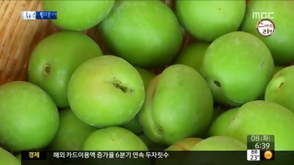 매실 효능
 출처:/MBC 뉴스 화면 캡쳐