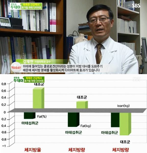 마테의 효능
 출처:/ SBS 방송 캡쳐