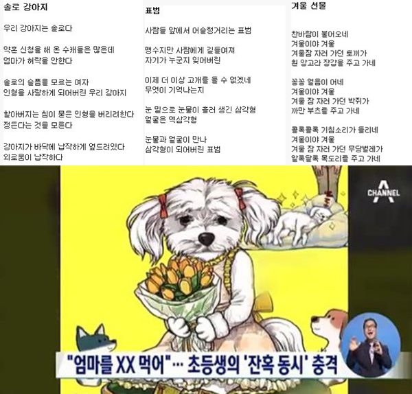 잔혹동시
 출처:/ 온라인 커뮤니티, 채널A 방송 화면 캡쳐