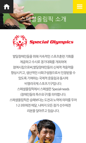 2015 LA 스페셜올림픽 세계하계대회, 한국 홈페이지 개설