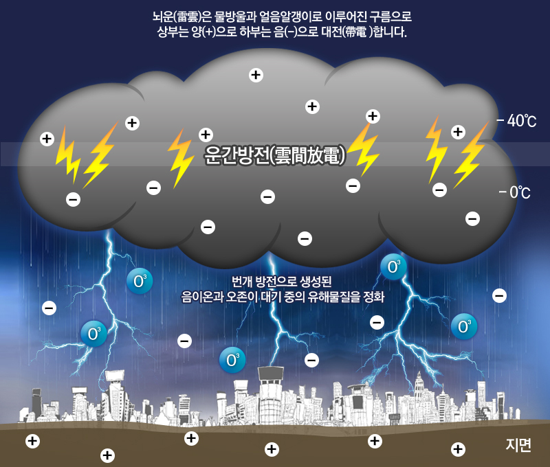 ▲ <이미지 출처: 천년넷>