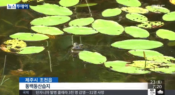 숨은물뱅듸 람사르습지 등록, 더 이상 버려진 땅이 아니다? '자연자원의 보고' 화제