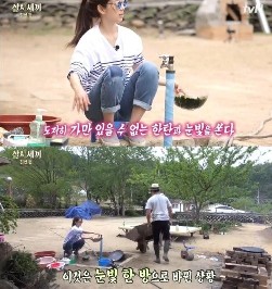 삼시세끼 옥택연 박신혜
 출처=tvN 삼시세끼 방송 캡처