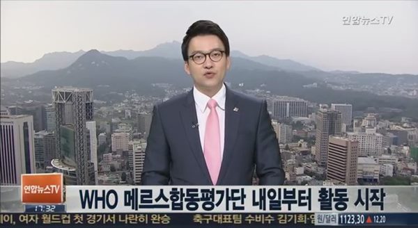 메르스 합동 평가단
 출처:/ 연합뉴스TV 캡처