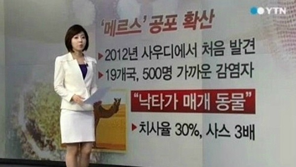 메르스 확진환자
 출처:/ YTN 캡처