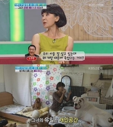 이용녀, 과거 해명한 노주현 아들 사망 루머는 무엇? "개털 때문에 죽은 것 아냐" 깜짝