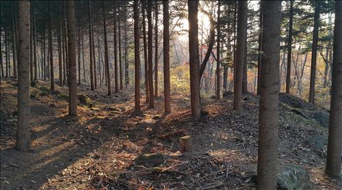 서울대공원/출처:온라인 커뮤니티