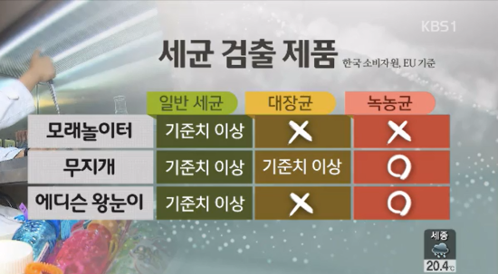 녹농균이란
 출처:/KBS1 화면 캡쳐(기사와 무관)