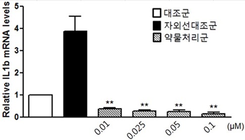 사진 : 피부노화와 관련된 염증 유발인자 IL-1b 발현량 비교.