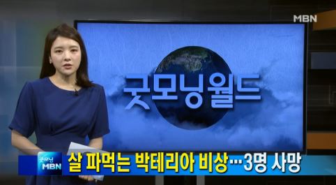 식인박테리아
 출처:/MBN
 