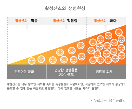 [홍성재 원장 의학칼럼] 활성산소는 동전의 양면(兩面)이다.