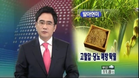 현미밥 칼로리
 출처:/KBS 화면 캡쳐