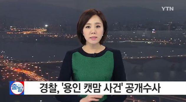 캣맘
 출처:/YTN 뉴스 캡처