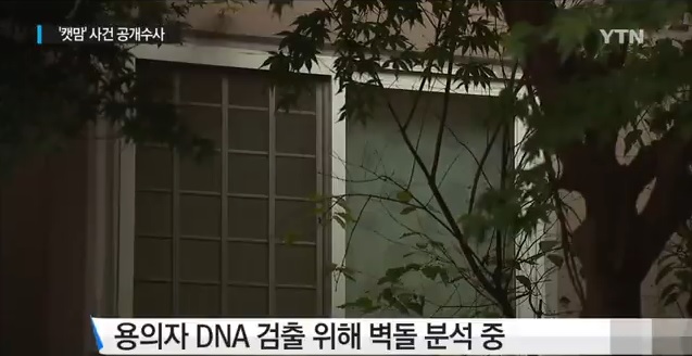 피해자 DNA만 검출
 출처:/YTN 뉴스 캡처 