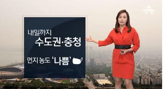 미세먼지
 출처:/ 채널A